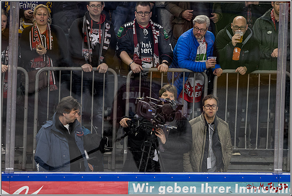 DEL, Koelner Haie - Grizzlys Wolfsburg, 21.03.2017